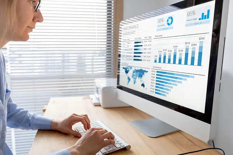 SEO expert performing SEO audit